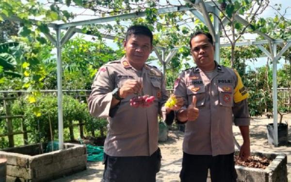 Kisah Inspiratif: Anggota Polisi Ini Sukses Jadi Juragan Buah dan Bibit Anggur Hanya Modal Rp75 Ribu