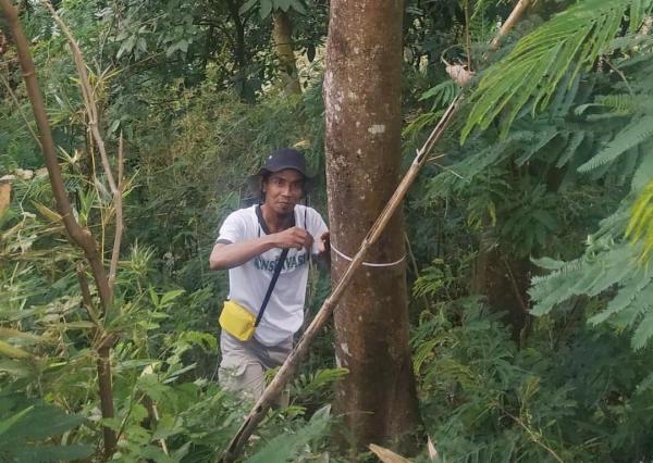 Cerita Cak Cimin, Satu Dekade Keluar Masuk Hutan Liar