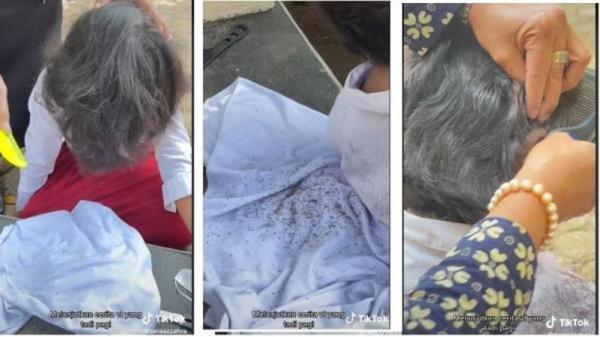 Viral! Guru di Karanganyar Bergerak Cepat Selamatkan Murid Yang Rambutnya Banyak Kutu