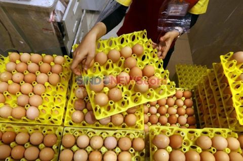 Stabilkan Harga Telur, Bapanas Siapkan  Subsidi Distribusi ke Pedagang Telur
