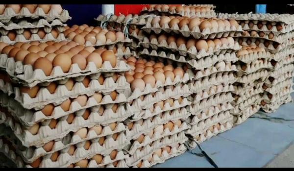Harga Telur Ayam Masih Belum Stabil di Tanah Rencong Aceh