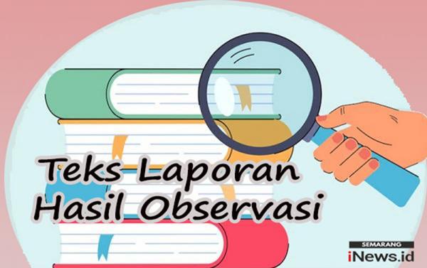 Contoh Teks Laporan Hasil Observasi Beserta Penjelasan Strukturnya