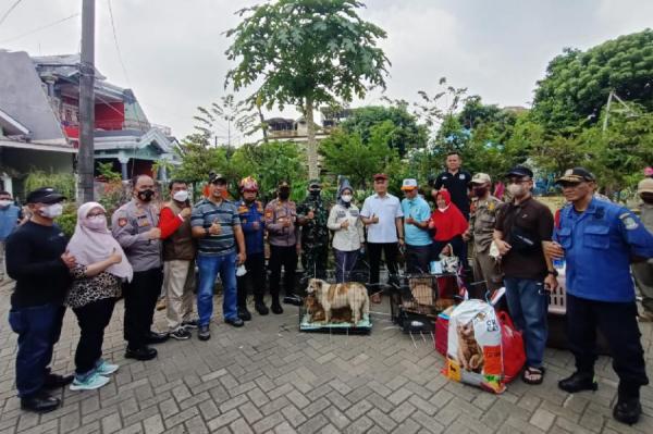 Ditinggal Pemiliknya dalam Kondisi Tak Terawat, 15 Ekor Anjing Dievakuasi Tim Rescue Damkar Bekasi