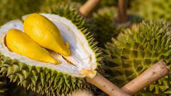 Ini Jumlah Kalori yang Terdapat di Buah Durian, Pecinta Durian Wajib Baca