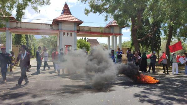 Demo Tolak Kenaikan Harga BBM di Sikka Ricuh, Mahasiswa Adu Jotos dengan Polisi