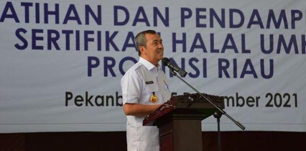Gubernur Riau Dorong Agar Raperda Pengarusutamaan Gender Segera Diterbitkan