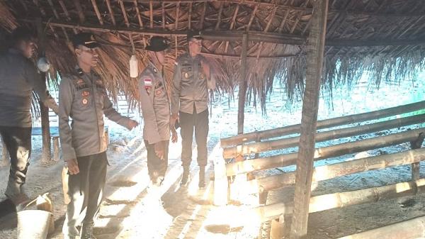Rumah Penyulingan Sopi di Desa Tuafanu TTS Digrebek Polisi