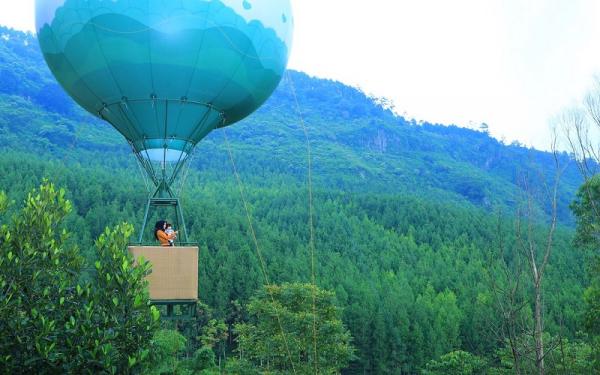 The Lodge Maribaya: Nikmati Keindahan Hutan Pinus Bandung dari Atas Balon Udara