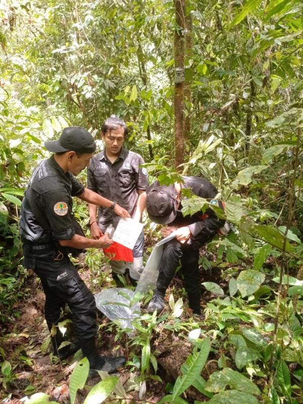 Lindungi Populasi Gajah Sumatera di TNGL, VESSWIC Rancang Stasiun Konservasi