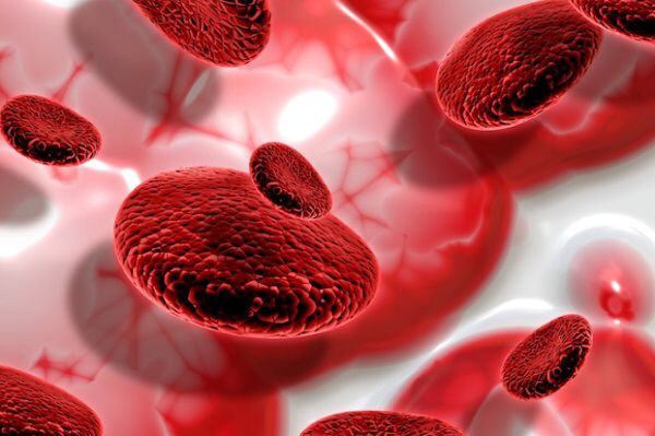 Fakta Menarik tentang Darah dan 9 Fungsinya Bagi Manusia