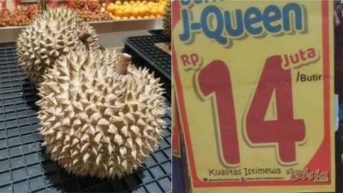 5 Durian Berharga Fantastis di Dunia, Salah Satunya Hasil Karya Anak Bangsa, Cek Faktanya!
