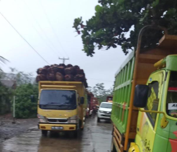 Akses Menuju Kantor PT SIL Bengkulu Utara diportal Puluhan Supir Truck