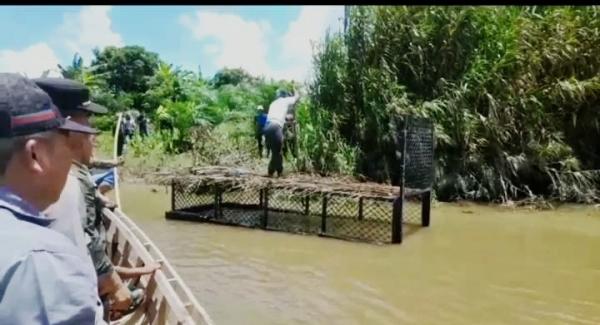 Pasca Buaya Terkam Warga, BKSDA Pasang Perangkap di Sungai