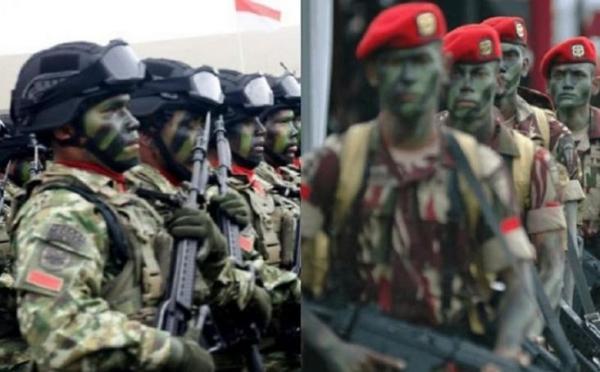 Inilah 5 Perbedaan Antara Dua Pasukan Elite Kebanggaan TNI AD yang Disegani, Ayo Simak Tulisan Ini