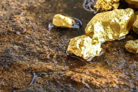 5 Raksasa Tambang Asing Penguasa Harta Karun RI, Nomor Terakhir Keruk Miliaran Ton Emas
