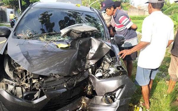 Kecelakaan Tunggal, Mobil Berjenis Toyota Agya Tabrak Pohon di Jalan Parangtritis
