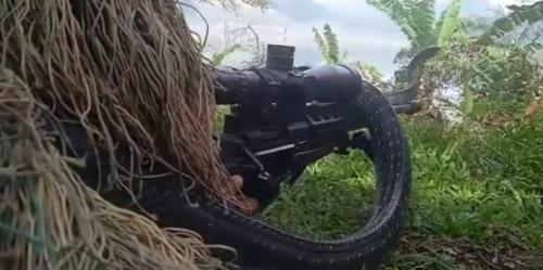Anggota Kopasgat TNI AU yang Menyamar Tiba Tiba King Kobra Melilit di Senapan, Mengerikan!