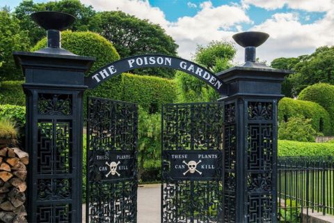 Mengintip The Poison Garden, Taman yang Memilik Tanaman Paling Beracun di Dunia