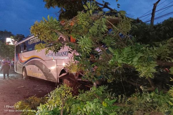 Bus Rombongan Guru SMP Negeri 1 Pelabuanratu Sukabumi Tabrak Pohon