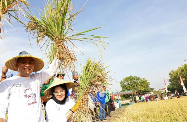 Surabaya Mampu Panen Raya, Ini Lokasi Penanaman Padinya