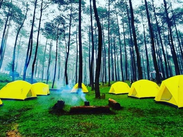 Rekomendasi 5 Tempat Camping di Bandung Cocok Untuk Healing
