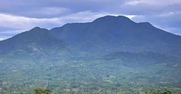 Cerita Misteri Pasar Setan di Gunung Lawu, Transaksi Jual Beli dengan Daun