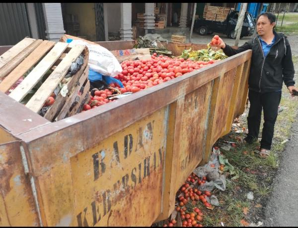 Harga Anjlok, Ratusan Kilo Tomat Dibuang ke Bak Sampah