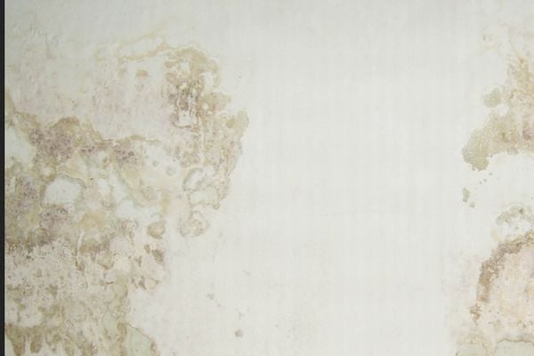 4 Cara Simpel Bersihkan Noda Jamur Di Dinding Rumah, Dijamin Lenyap