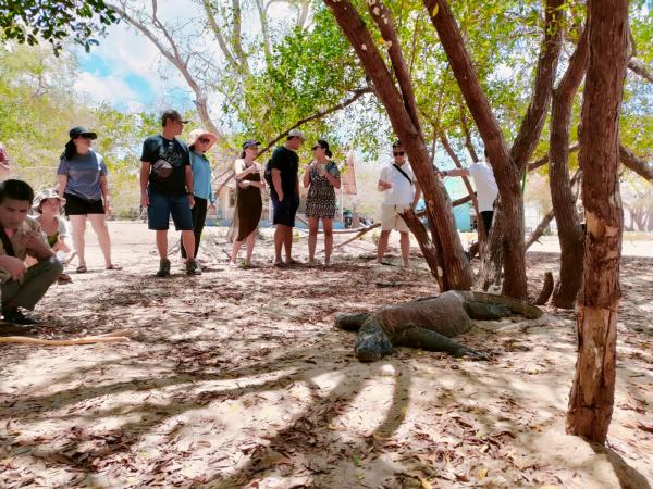Tamu Pertama ke Pulau Komodo dengan Harga Paket 15 Juta Rupiah