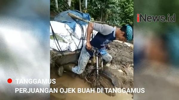 Video Ojek Buah Menantang Jalan Terjal