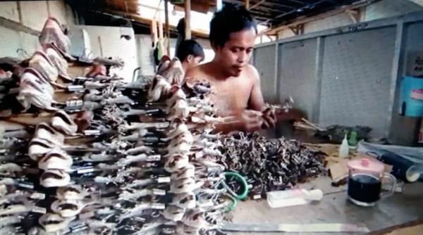 Bikin Geli, Bisnis Dendeng Tokek di Banjarnegara Ternyata Raup Omzet Puluhan Juta
