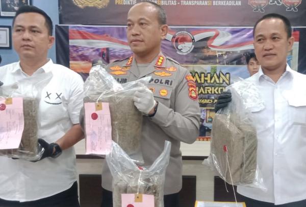 Asik Bertransaksi Ganja Seberat 12Kg, Dua Pengedar Lintas Provinsi Diringkus Polrestabes Palembang