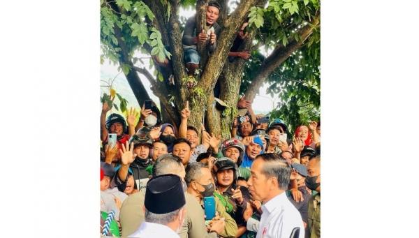 Warga Ternate Sampai Panjat Pohon Antusias Sambut Jokowi
