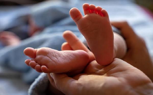 Polisi Amankan Pria Jual Bayi, Modusnya Kumpulkan Ibu Hamil