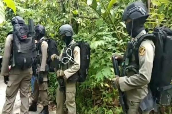 Kontak Senjata dengan Satgas Madago Raya, 1 Anggota Mujahidin Indonesia Timur Tertembak