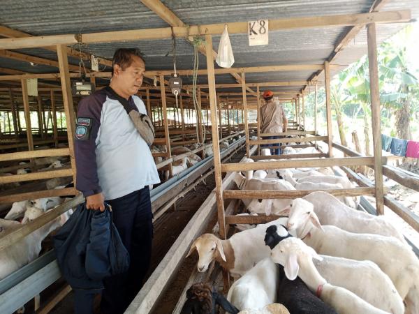 Tingkatkan Kompetensi, Seksi Bimnadik Giatja LPT Kendal Studi Tiru ke Laa Roiba Farm