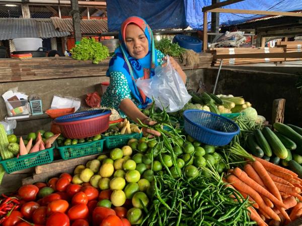 Harga Cabai dan Sayuran Turun Tajam, Nilai Tukar Petani Sumut Anjlok