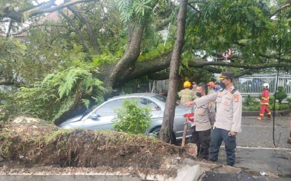 Akibat Hujan Deras Pohon Tumbang Timpa Mobil Di Bandung