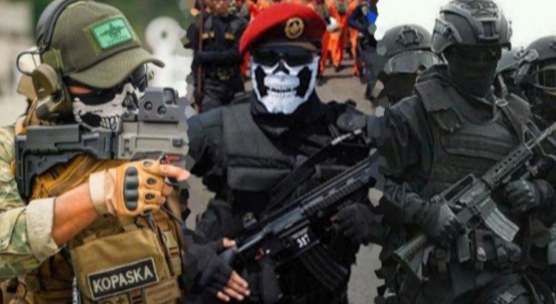 Mengenal 9 Pasukan Elite TNI Disegani Dunia, 1 Anggota Setara 120 Prajurit Biasa
