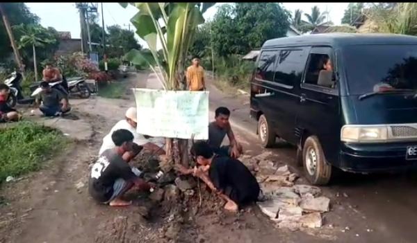 Jalan Rusak Tak Kunjung Diperbaiki, Warga Desa Agom Tanam Pohon Pisang Ditengah Jalan