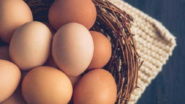 5 Cara Membedakan Telur Busuk atau Tidak, Agar Aman Dikonsumsi!