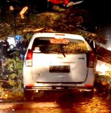 Sadis! Cuaca Ekstrim  Ibu Hamil 7 Bulan Bersama Keluarga Tertimpa Pohon Tumbang di Palopo