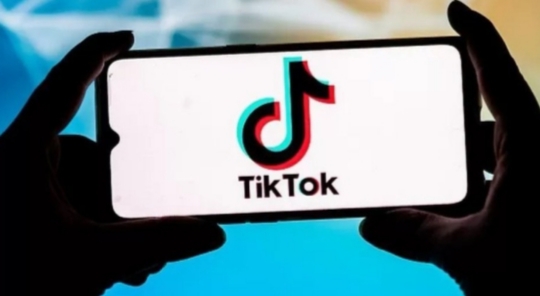 Download Video TikTok tanpa Watermark Gratis, Begini Caranya!