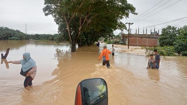 Banjir Aceh Timur, BNPB: 2.436 Orang Mengungsi