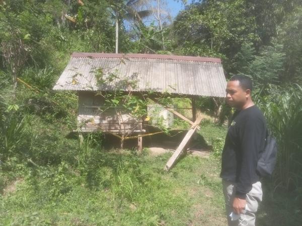 Sadis, Pemuda Desa di Lombok Utara Pukul Kepala Iparnya Dengan Balok Kayu Hingga Tewas