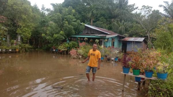 Banjir di 3 Kecamatan di Langkat, Ratusan Rumah Terendam
