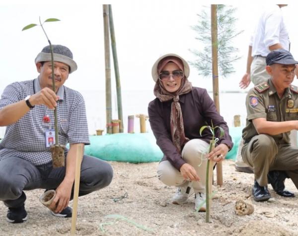 Unsika dan Kemenko PMK RI Tanam 1.000 Pohon Mangrove di Bibir Pantai Karawang
