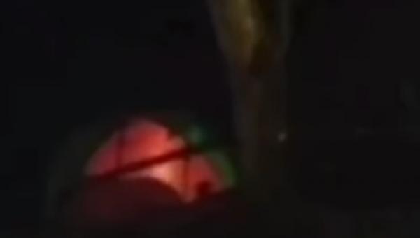 Tenda Bergoyang Bikin Heboh! Diduga Pasangan Muda-mudi Tengah Bercocok Tanam di Bogor