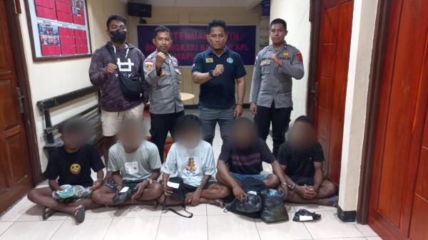 Kedapatan Bawa Ganja, 5 Penumpang KM Labobar Ditangkap Polisi