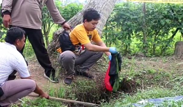 Video Penangkapan Tersangka R Kasus Pembuangan Janin Bayi di Pringsewu